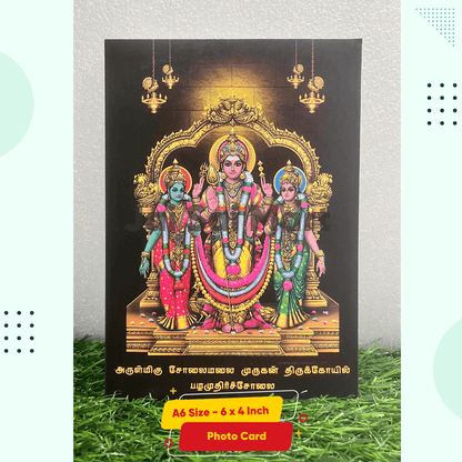 [10-Pack Combo Set] Lord Tiruchendur Murugan Idol [9.5 Inch]
