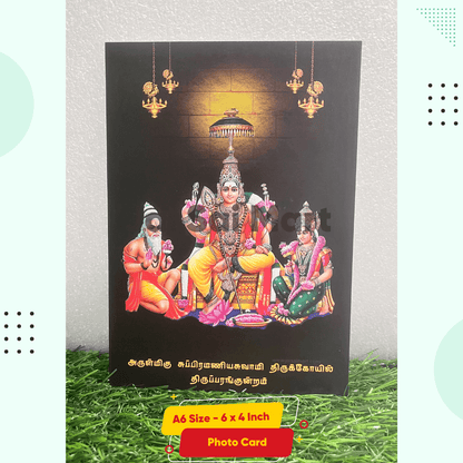 [10-Pack Combo Set] Lord Tiruchendur Murugan Idol [9.5 Inch]
