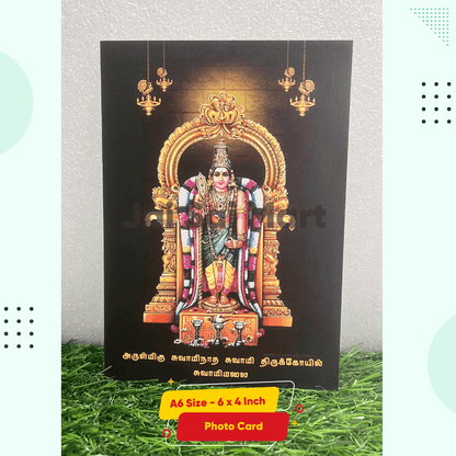[10-Pack Combo Set] Lord Tiruchendur Murugan Idol [9.5 Inch]