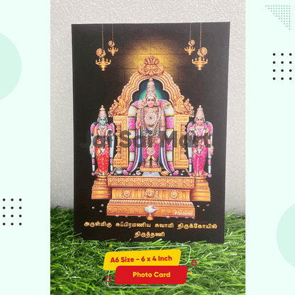 [10-Pack Combo Set] Lord Tiruchendur Murugan Idol [9.5 Inch]